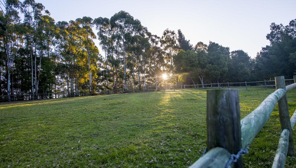 Tamodi Lodge Plettenberg Bay Kültér fotó