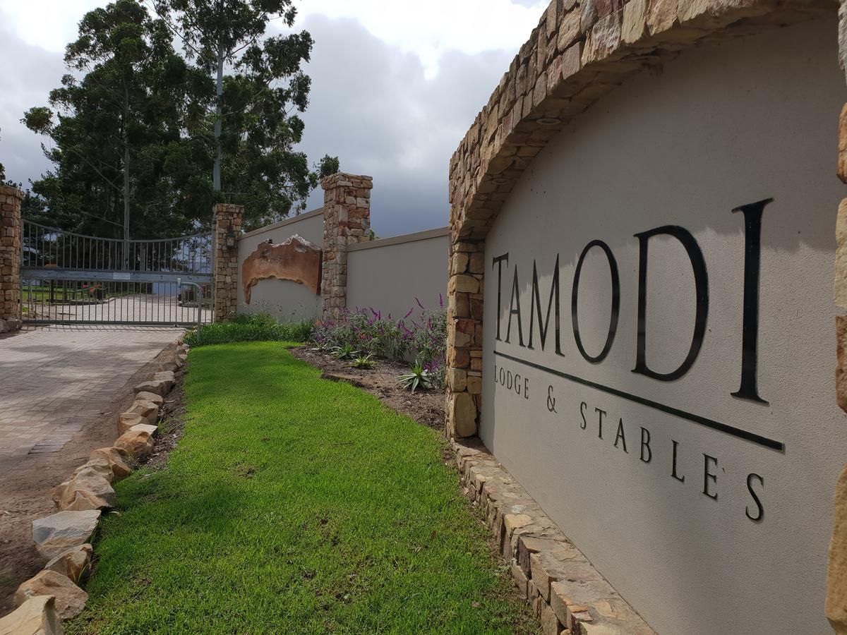 Tamodi Lodge Plettenberg Bay Kültér fotó