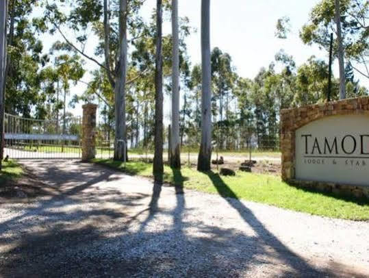 Tamodi Lodge Plettenberg Bay Kültér fotó